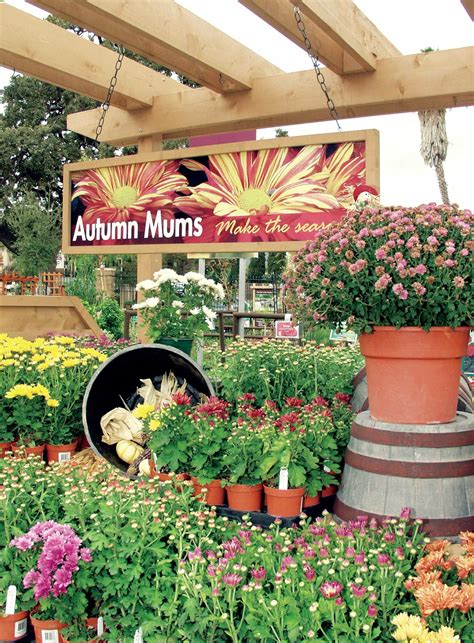 Armstrong garden - Pricing, promotions and availability may vary by location and at www.armstronggarden.com or www.shop.armstronggarden.com. Armstrong Garden Centers is a full service nursery with a quality selection of unique & popular plants, outdoor patio furniture, fountains and landscape design.